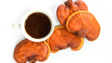 What Are the Side Effects of Taking Reishi Mushroom Supplements?